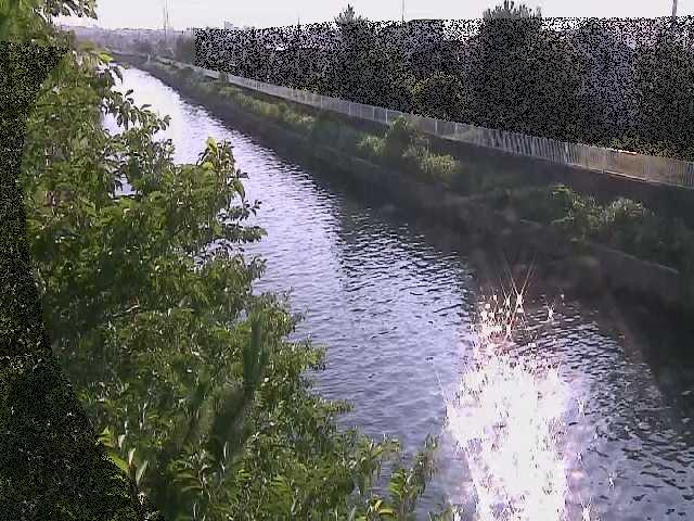 大平橋付近のカメラ画像