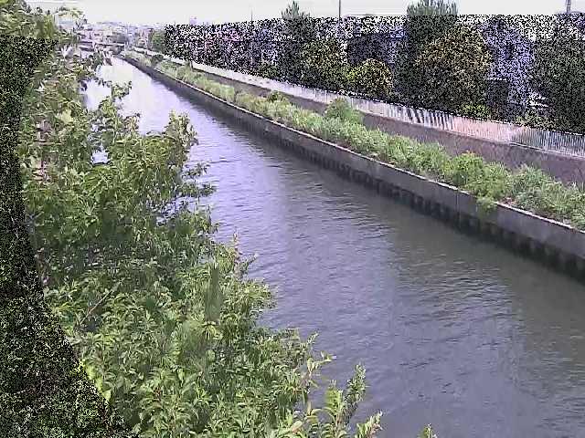 大平橋付近のカメラ画像