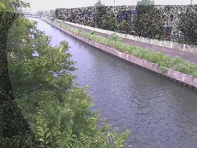 引地川 大平橋付近のカメラ画像