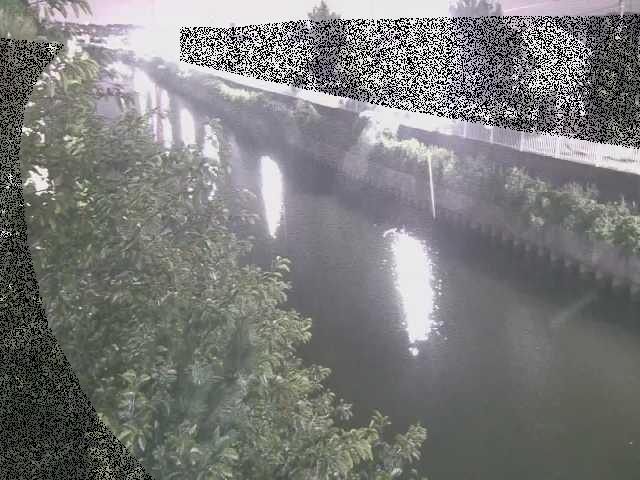 引地川 大平橋付近のカメラ画像