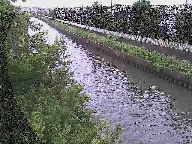 大平橋付近のカメラ画像