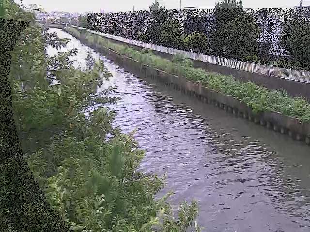 大平橋付近のカメラ画像