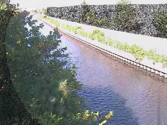 大平橋付近のカメラ画像