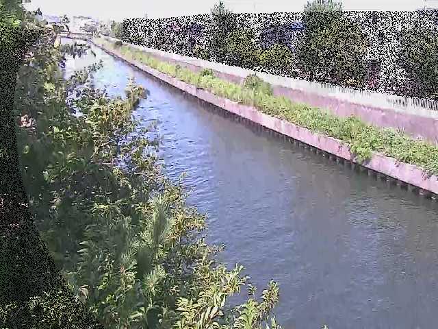 引地川 大平橋付近のカメラ画像