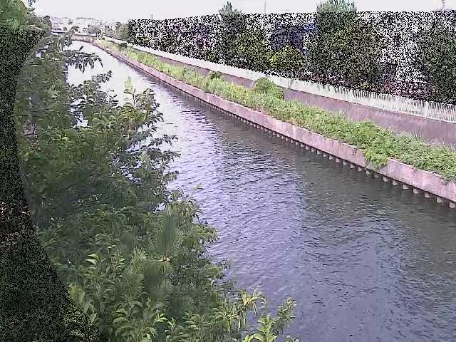 大平橋付近のカメラ画像