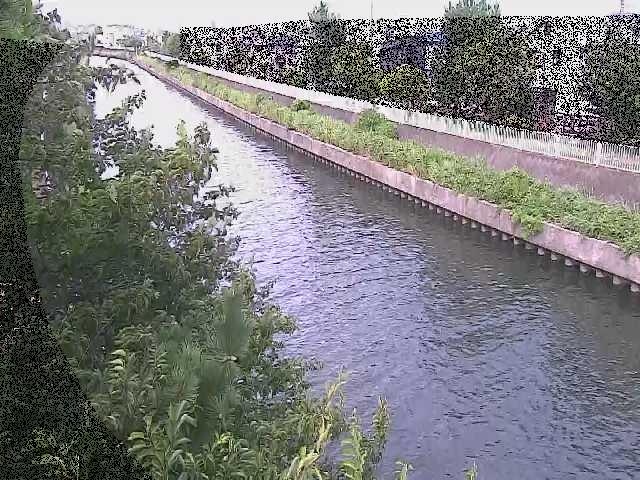 大平橋付近のカメラ画像