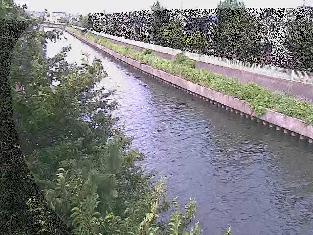 大平橋付近のカメラ画像