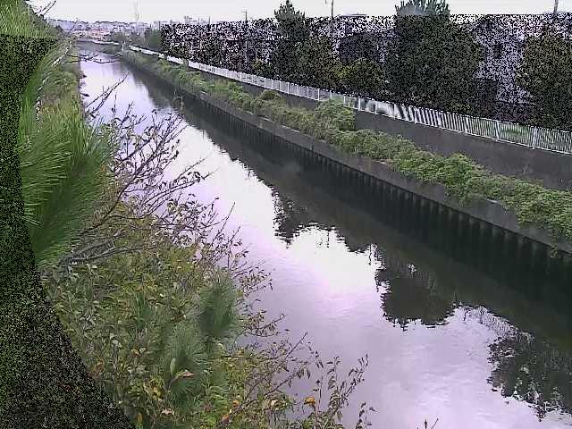 大平橋付近のカメラ画像