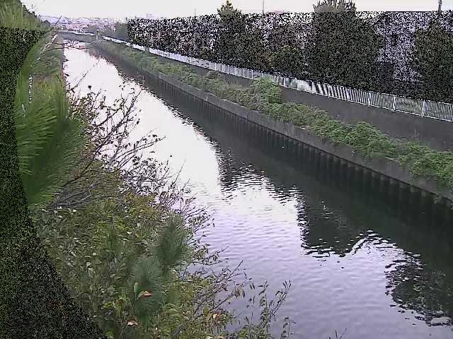 大平橋付近のカメラ画像