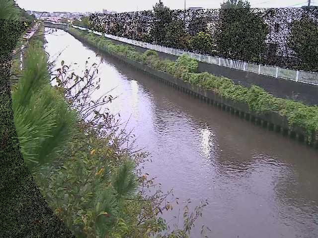 大平橋付近のカメラ画像