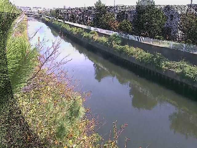 大平橋付近のカメラ画像