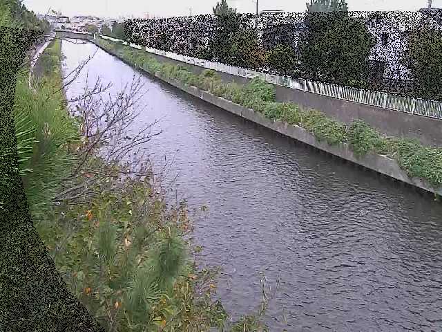 大平橋付近のカメラ画像