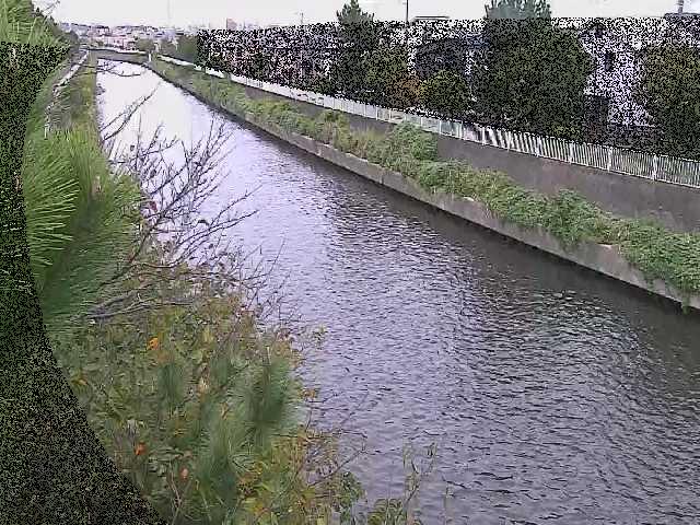 引地川 大平橋付近のカメラ画像
