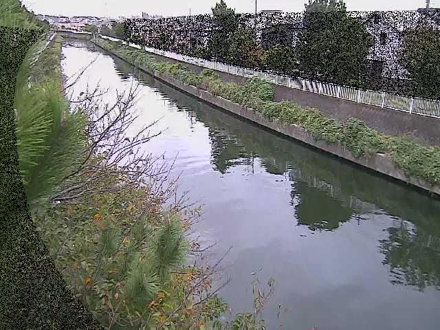 大平橋付近のカメラ画像