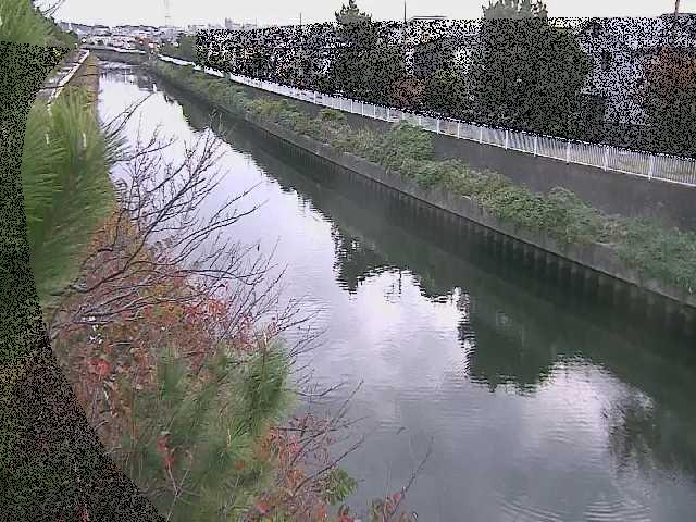 大平橋付近のカメラ画像
