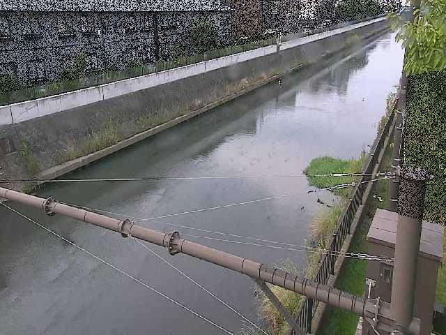 千の川 富士見橋付近のカメラ画像