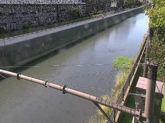 富士見橋付近のカメラ画像