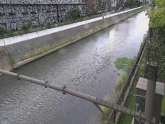 富士見橋付近のカメラ画像