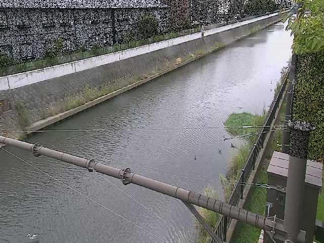 千の川 富士見橋付近のカメラ画像