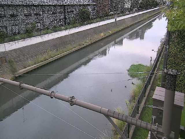 富士見橋付近のカメラ画像