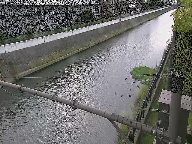 千の川 富士見橋付近のカメラ画像