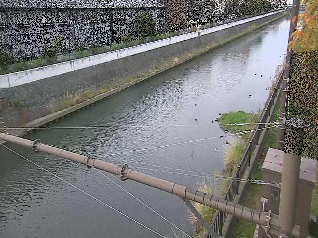 富士見橋付近のカメラ画像