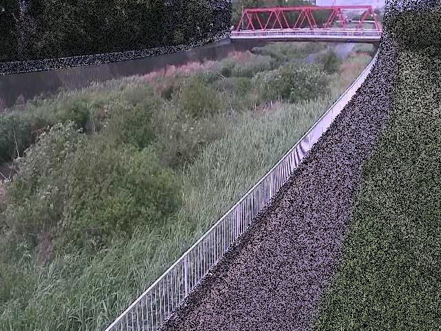 新鶴嶺橋付近のカメラ画像