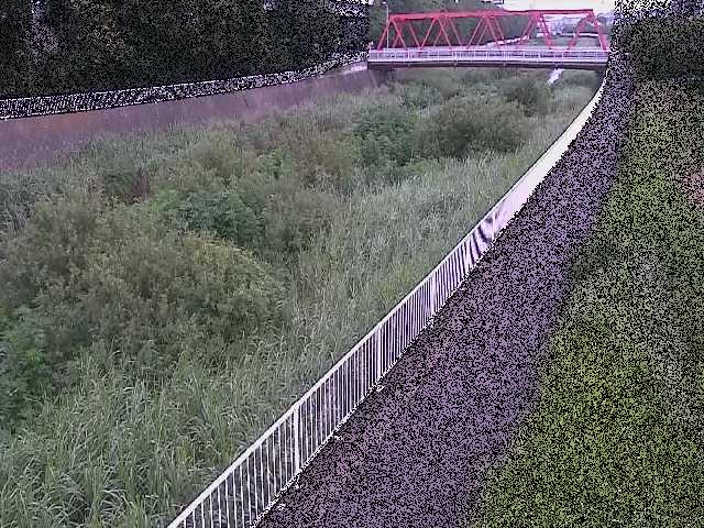 小出川 新鶴嶺橋付近のカメラ画像