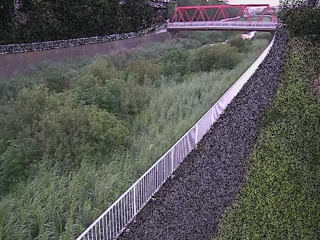小出川 新鶴嶺橋付近のカメラ画像