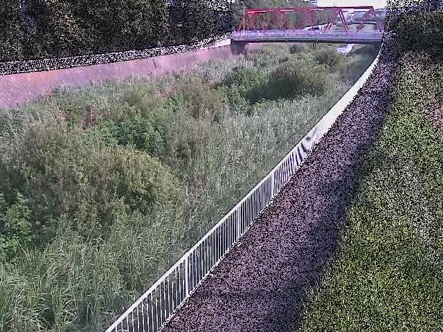 新鶴嶺橋付近のカメラ画像