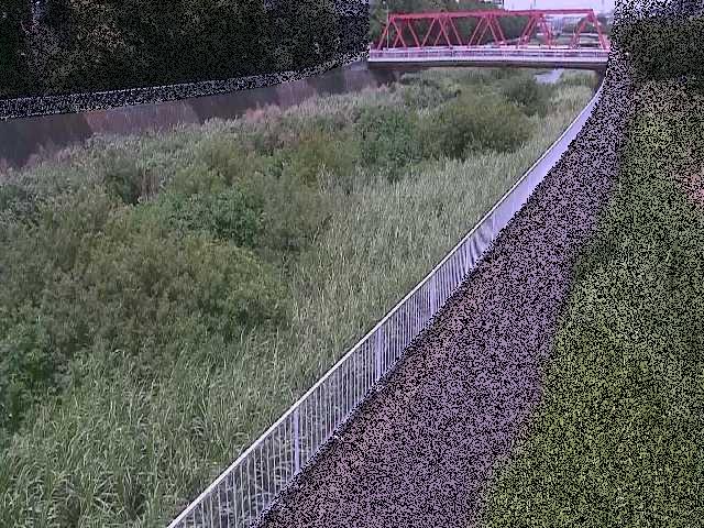 新鶴嶺橋付近のカメラ画像