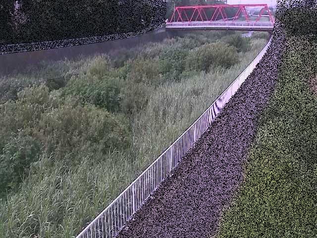 小出川 新鶴嶺橋付近のカメラ画像