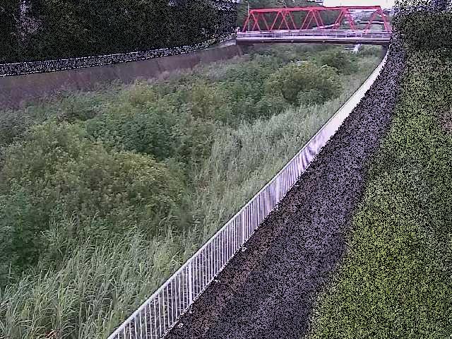 新鶴嶺橋付近のカメラ画像