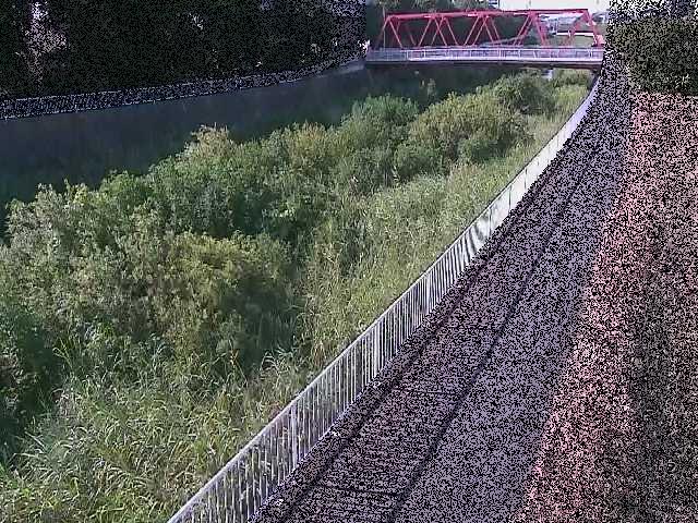 新鶴嶺橋付近のカメラ画像
