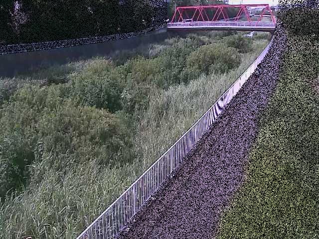 小出川 新鶴嶺橋付近のカメラ画像