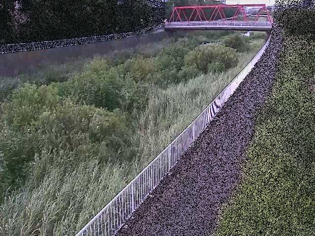 新鶴嶺橋付近のカメラ画像