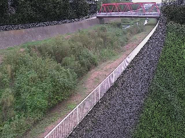 新鶴嶺橋付近のカメラ画像