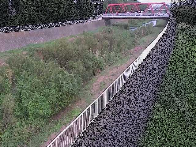 小出川 新鶴嶺橋付近のカメラ画像