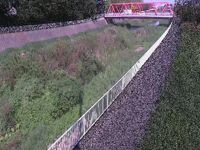 新鶴嶺橋付近のカメラ画像