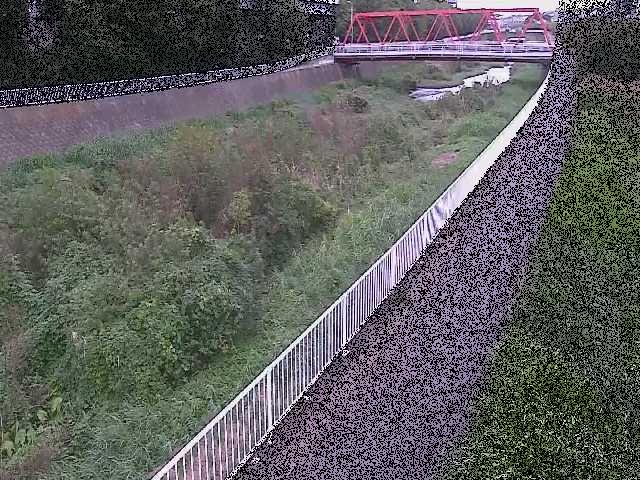 新鶴嶺橋付近のカメラ画像