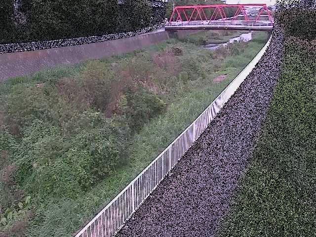 小出川 新鶴嶺橋付近のカメラ画像
