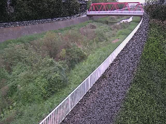 新鶴嶺橋付近のカメラ画像