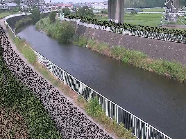引地川 石川橋付近のカメラ画像