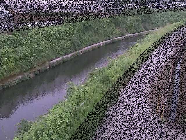 境川 高鎌橋付近のカメラ画像