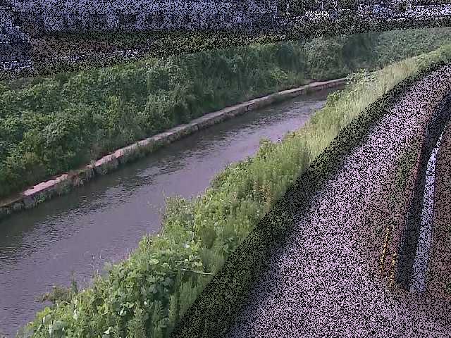 境川 高鎌橋付近のカメラ画像