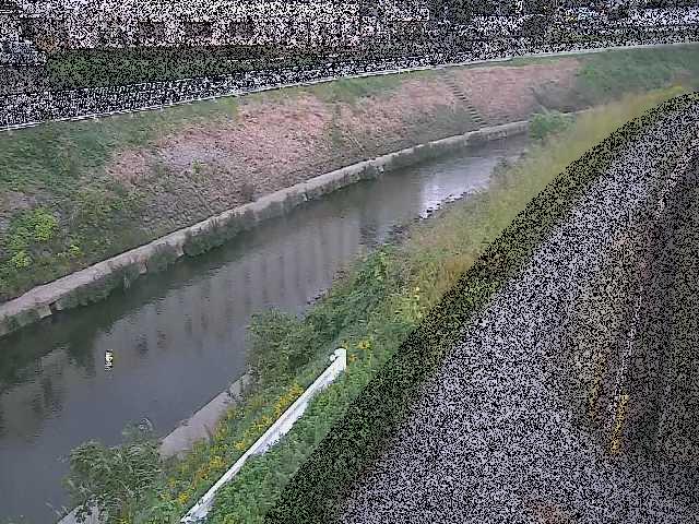 高鎌橋付近のカメラ画像