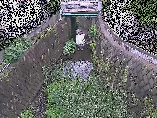 大津橋付近のカメラ画像