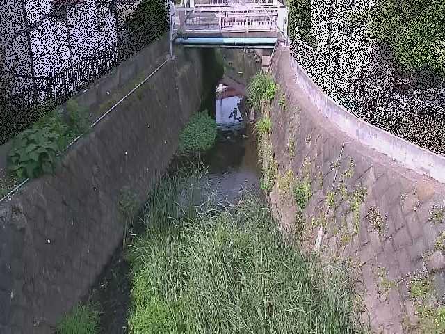 大津橋付近のカメラ画像