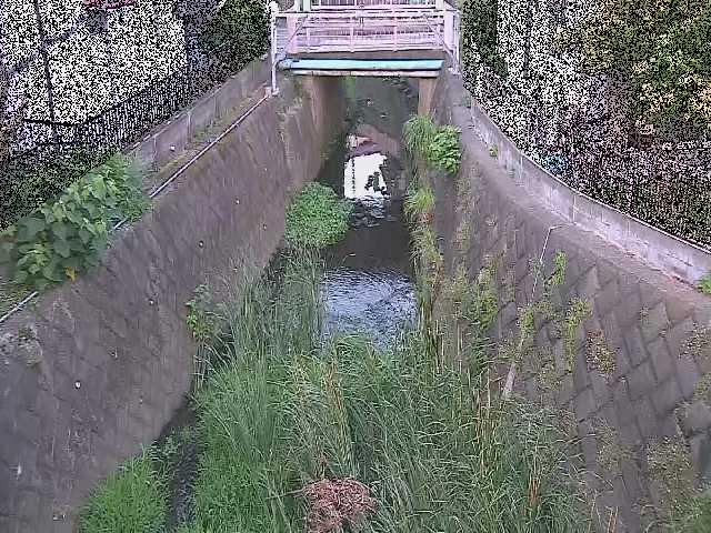 大津橋付近のカメラ画像