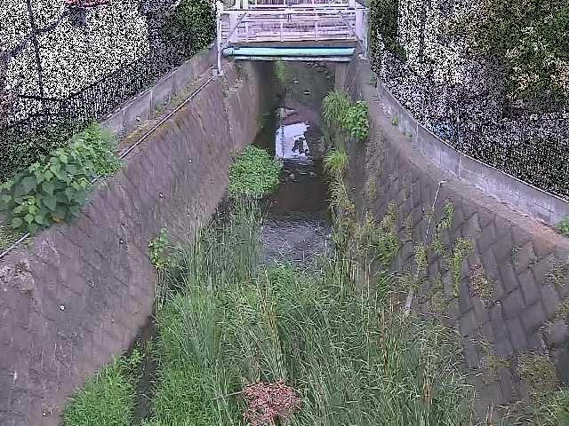大津橋付近のカメラ画像